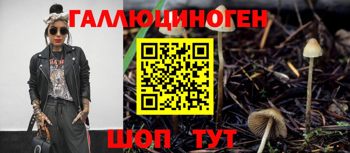 Семилуки  Галлюциногенные грибы Psilocybine cubensis  Вход с VPN  Псилоцибиновые грибы GOLDEN TEACHER 